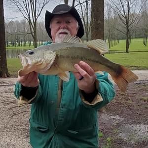 Meet your Posher, Dennis